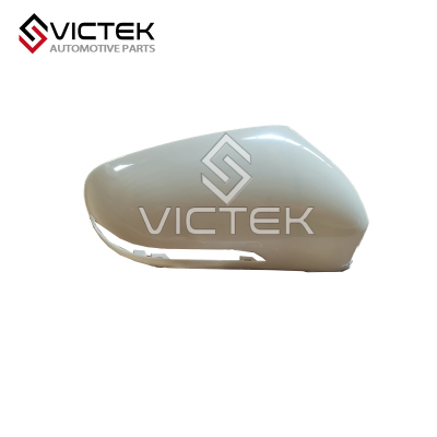 Marco del espejo lateral izquierdo 601000517AA