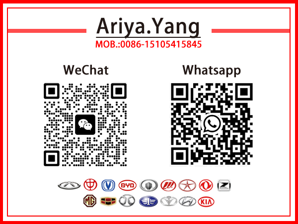 Shandong Victory Car Parts Technology Co.,Ltd